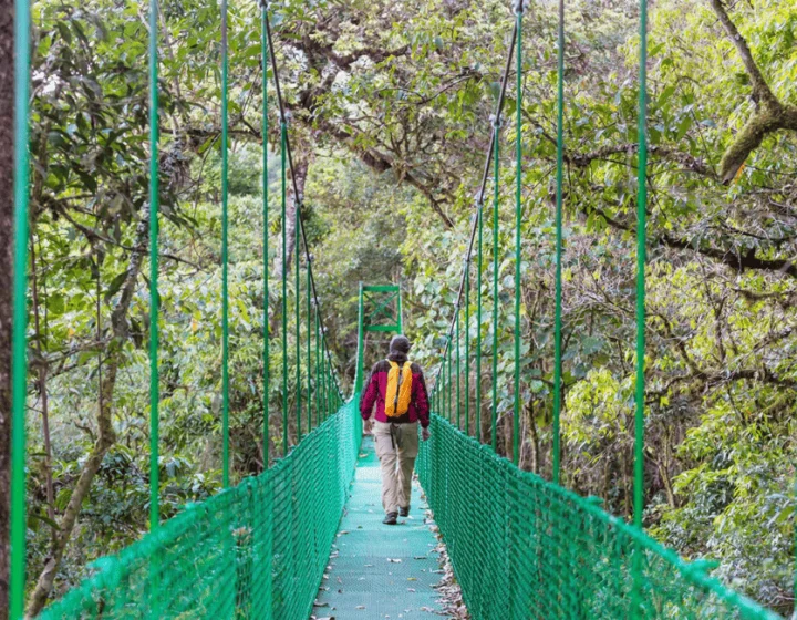 Costa Rica Luxury Vacation - Monteverde Reserve